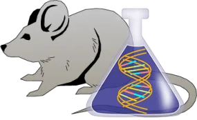 Mouse C1 Inhibitor Genetically Deficient Kidney Tissue Lysate