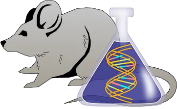 Mouse C1 Inhibitor Genetically Deficient Kidney Tissue Lysate