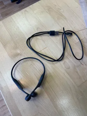 Shokz Earbuds